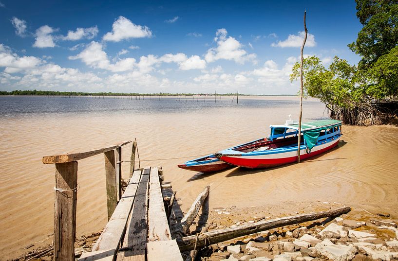 Bunte Boote auf dem Fluss Suriname von Marcel Bakker