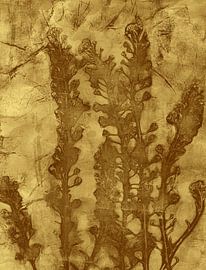 Botanical art in wabi-sabi style. Rusty brown on gold. by Dina Dankers