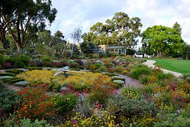 Botanische Uhr von Frank's Awesome Travels