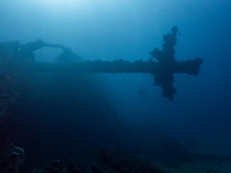 Stories of the deep van Freek van den Driesschen