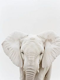 weißer Elefant von haroulita