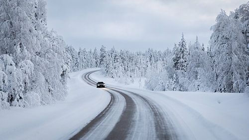 Sur la route en Laponie sur Lynxs Photography
