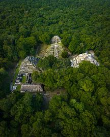 Maya temples of Tikal hidden in the jungle of Guatemala by Ewold Kooistra