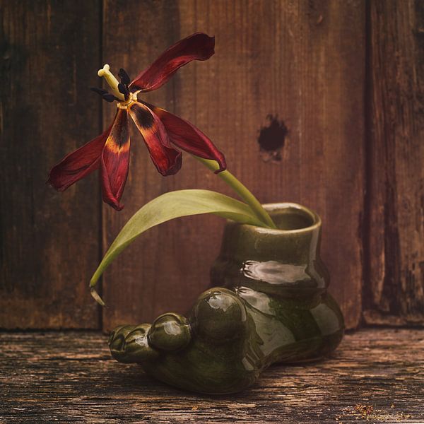 Stillleben Vase im Fuß von Saskia Schotanus