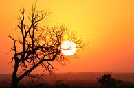 Zonsondergang Zuid Afrika van Ralph van Leuveren thumbnail