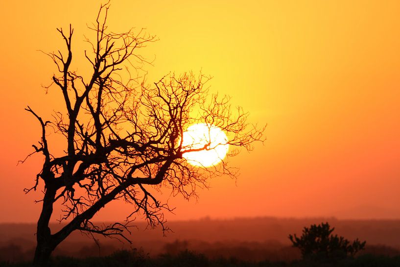 Zonsondergang Zuid Afrika van Ralph van Leuveren
