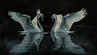 Swans at night panorama