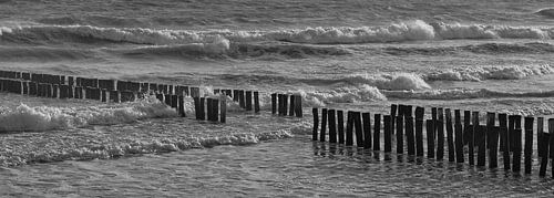 Golfbrekers met golven aan Nederlandse kust zwart-wit