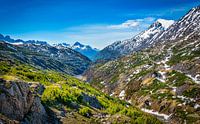 No man's land, border area between Canada and Alaska by Rietje Bulthuis thumbnail