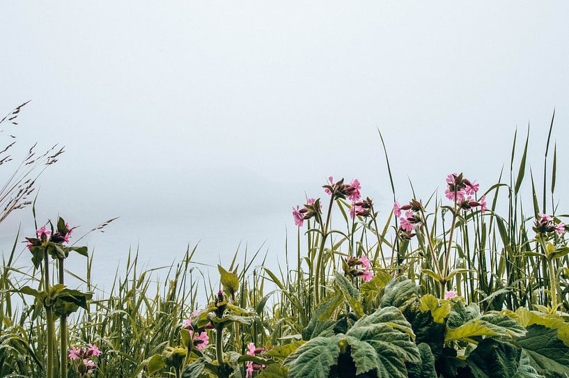 Blumen von Yvette van der Graaf