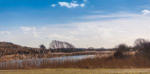 waterleidingduinen