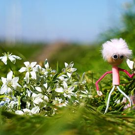 Fubby met Vlinder in een zomers landschap. van Sailographic Paula