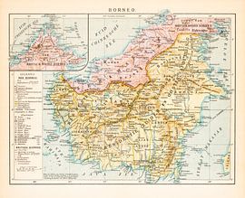 Vintage map Borneo by Studio Wunderkammer