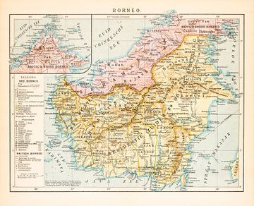 Vintage kaart Borneo van Studio Wunderkammer