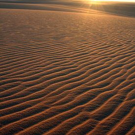 Zand sur Anita Vromans