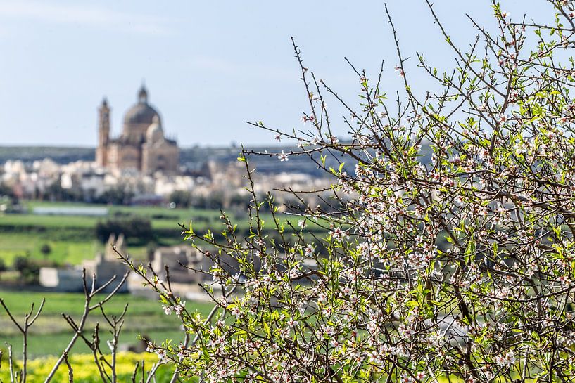 Gozo par Eric van Nieuwland