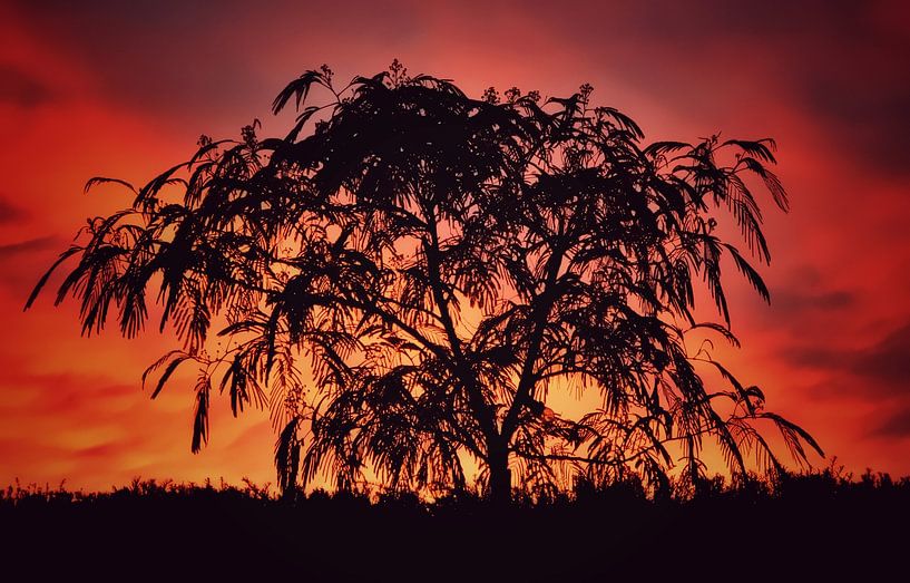 Sunset in paradise by Maickel Dedeken