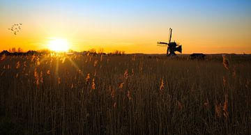 Coucher de soleil au moulin de Varnebroek