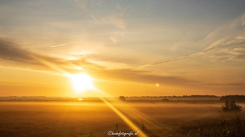 sun and mist over the landscape