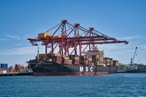 Enorm MSC-containerschip