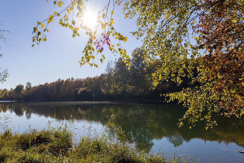 Sunshine at the lake by Christoph Schaible