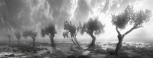 Düstere Landschaft in Monochrom