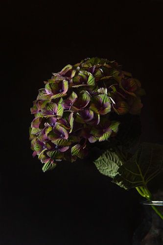 Fading into night