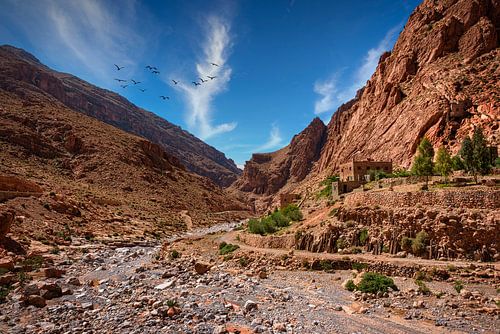 Rivierbedding in de Todra kloof, Marokko