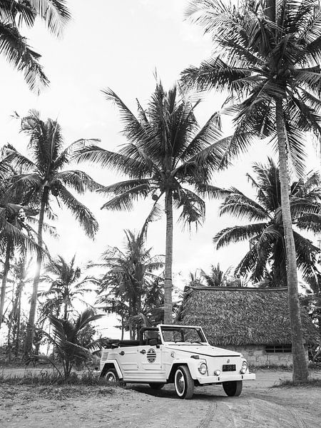 Palmiers avec voiture photo noir et blanc par Dagmar Pels