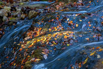 Lichtvlek op herfstbladeren in een bergbeek