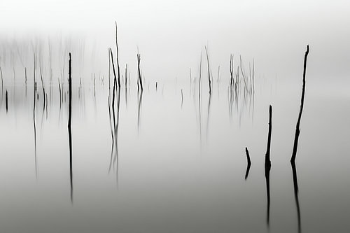 Reflet dans le néant blanc