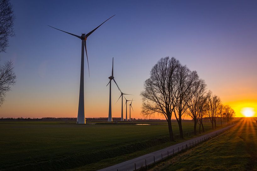 Windmills by Frank Bison