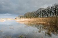 landschap, Limburg