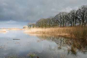 landschap, Limburg van Joep Deumes