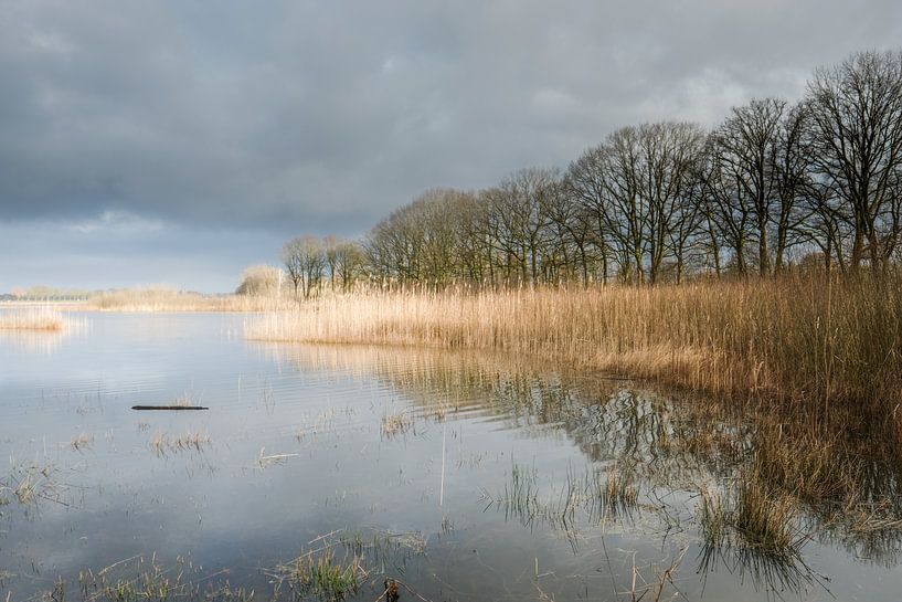 paysage, Limbourg par Joep Deumes