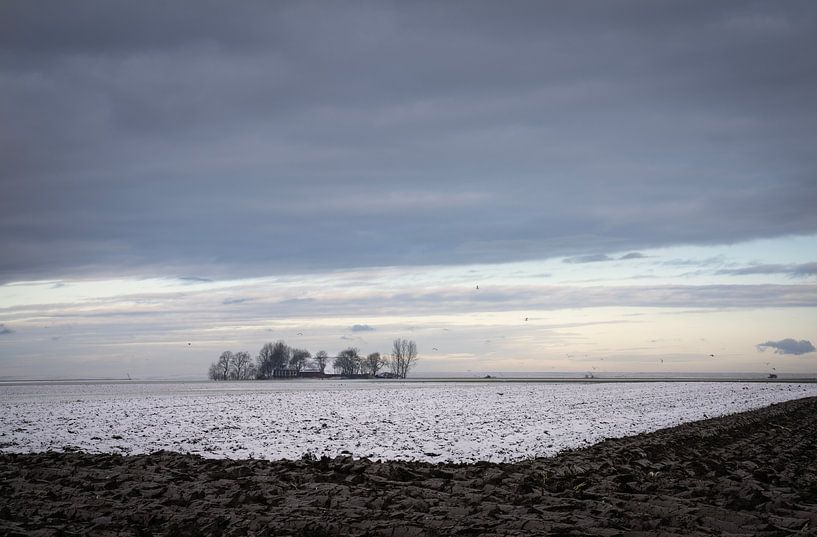 Lever de soleil en hiver à Groningue par Bo Scheeringa Photography