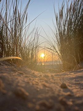 Sunshine on my mind