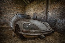 Citroën DS by Dafne Op 't Eijnde