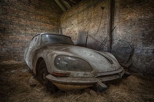 Citroën DS sur Dafne Op 't Eijnde
