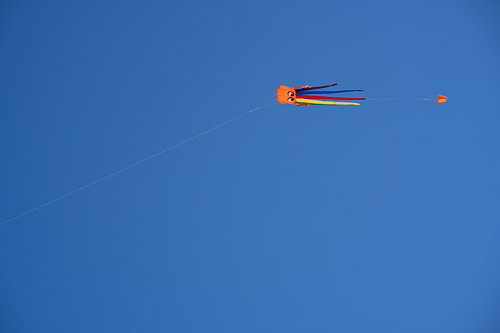 Un cerf-volant coloré dans le ciel au-dessus de St. Peter-Ording sur Catrin Grabowski