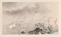 Takeuchi Seihō - Seihō jūni Fuji, Pl.11 (1894) van Peter Balan thumbnail