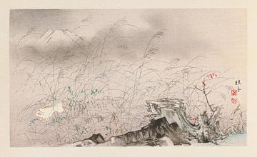 Takeuchi Seihō - Seihō jūni Fuji, Pl.11 (1894) von Peter Balan