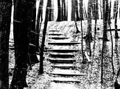 Trap in bos zwart/wit van Angelique Roelofs thumbnail