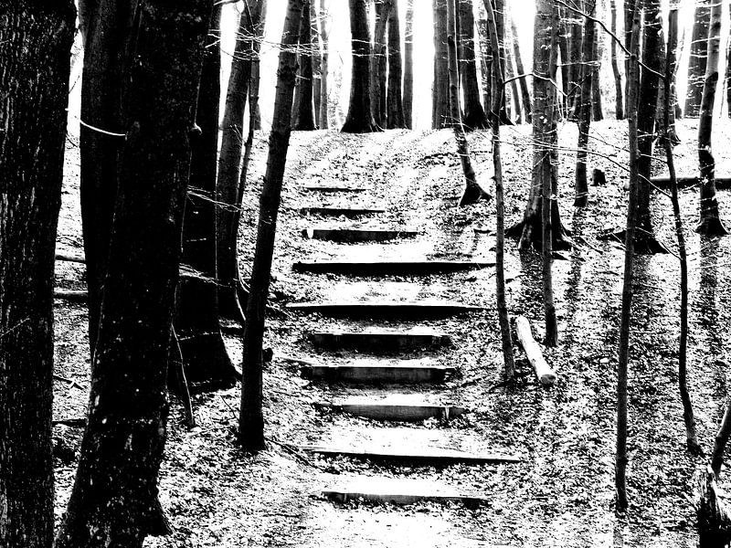 Trap in bos zwart/wit van Angelique Roelofs
