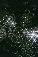 Disco caleidoscoop - Portret