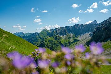 Vue fleurie sur le Hochvogel et les Alpes d'Allgäu sur Leo Schindzielorz