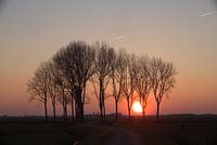 Beautiful sunset