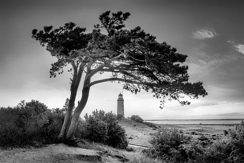 Vuurtoren Dornbusch aan de Hiddensee in zwart-wit.