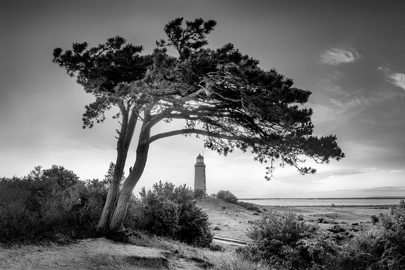 Leuchtturm Dornbusch auf Hiddensee in schwarzweiss. von Manfred Voss, Schwarz-weiss Fotografie