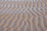 Sporen van de zee